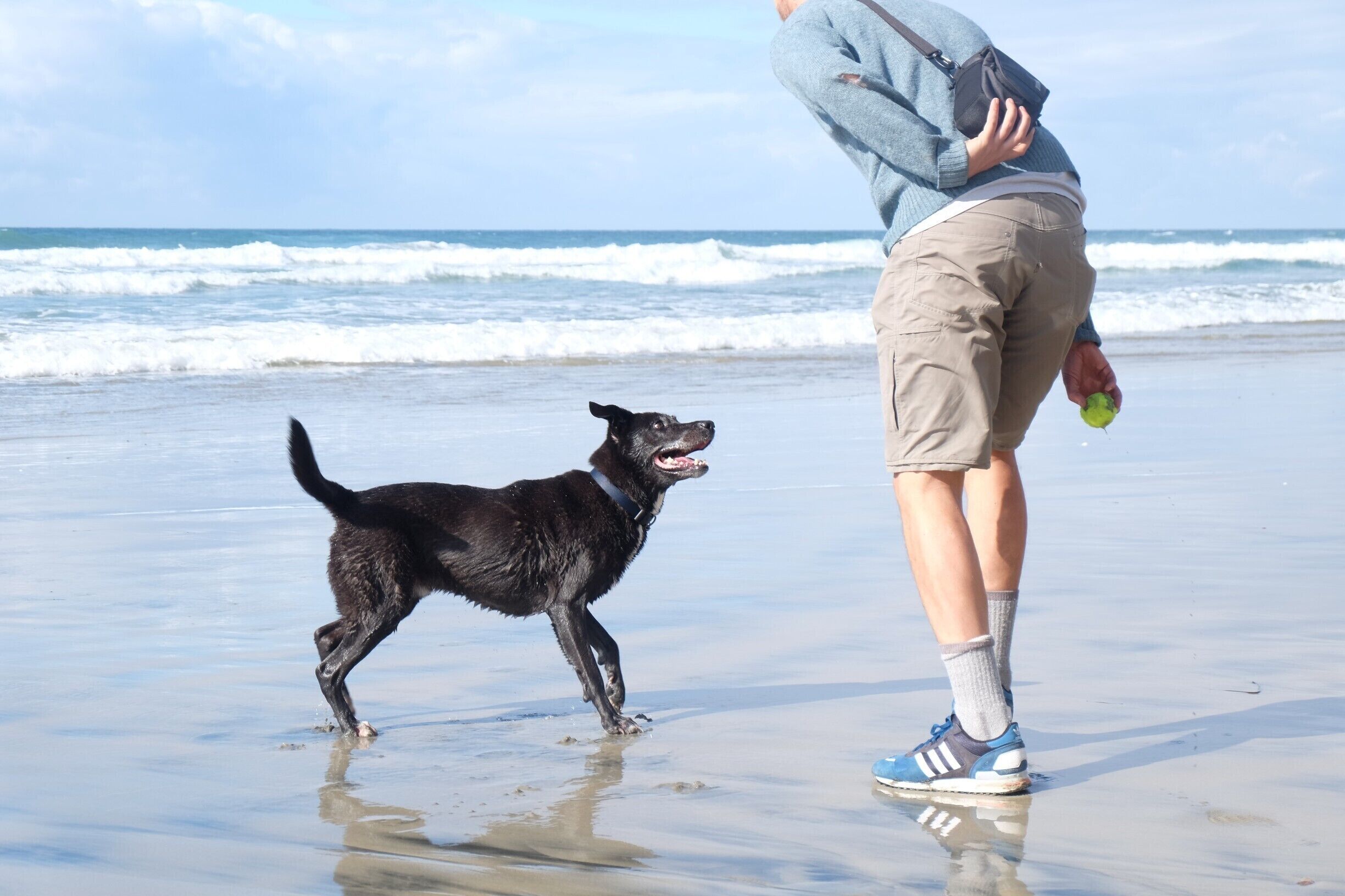 Awesome dog park at south Solana #beach