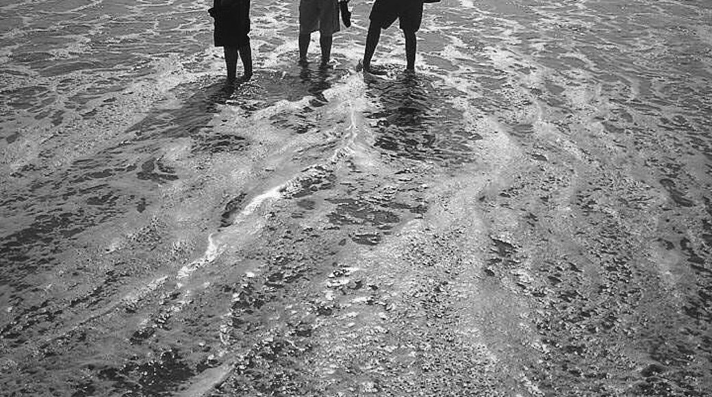 A walk along the beach before sunset.