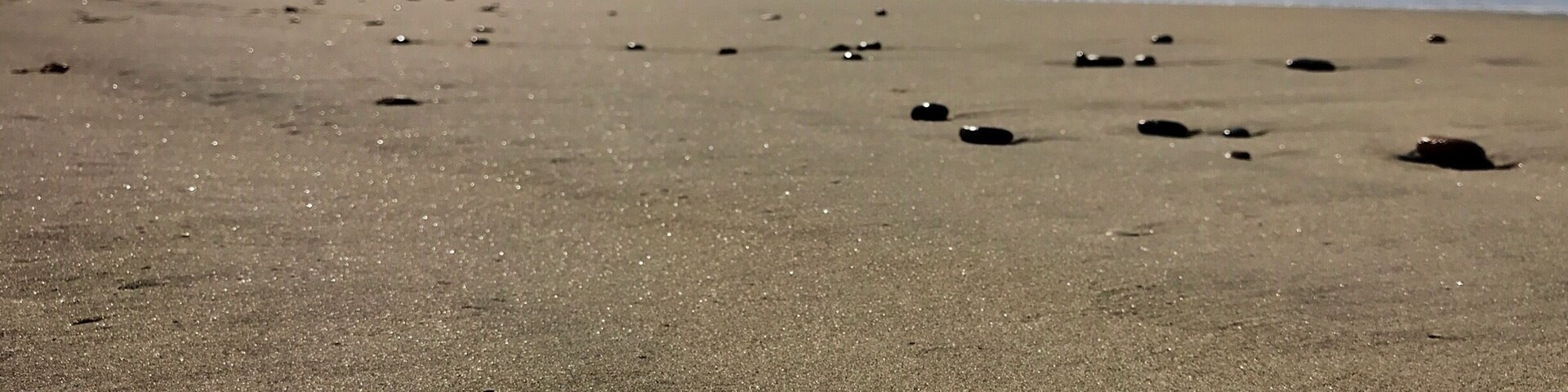 Lots of interesting things to find while beach combing.
#lifeatexpedia