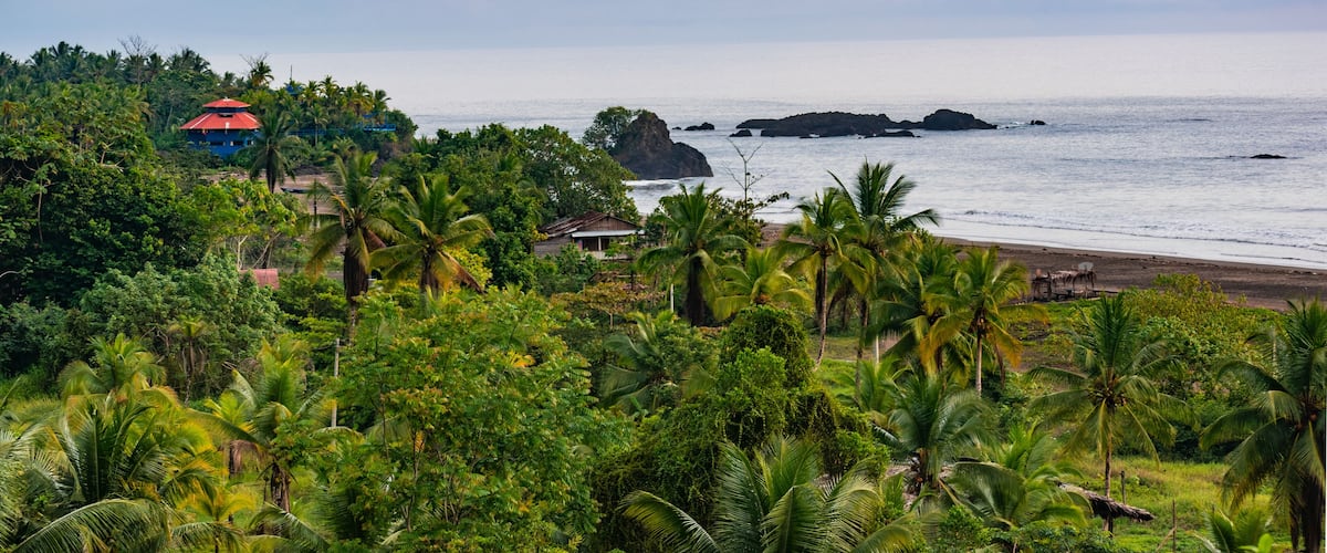 A tropical beach with palm trees, a rocky outcrop, and a small building with a red roof.