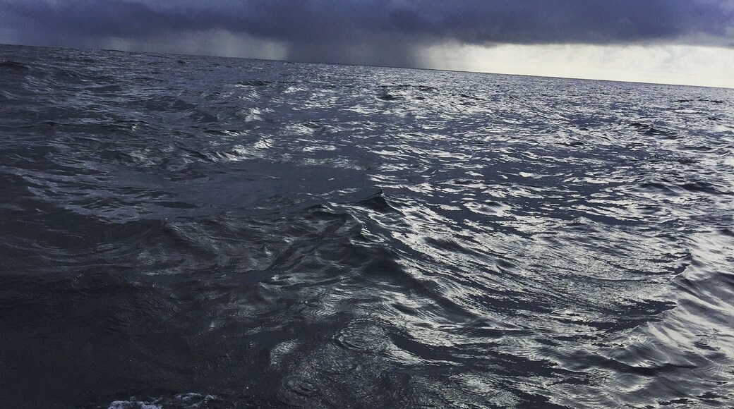 ⛈ Coming to us.
Pacifico Adventures