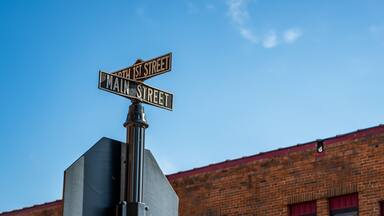 A street sign with 'North 1st Street' and 'Main Street' written on it, mounted on a metal pole, with a clear blue sky and a brick building in the background.