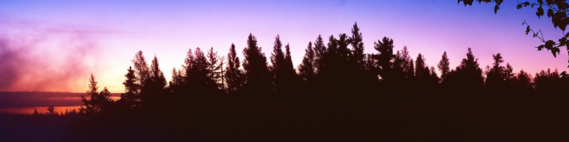 191-17 Sunrise Mist - Jack Lake