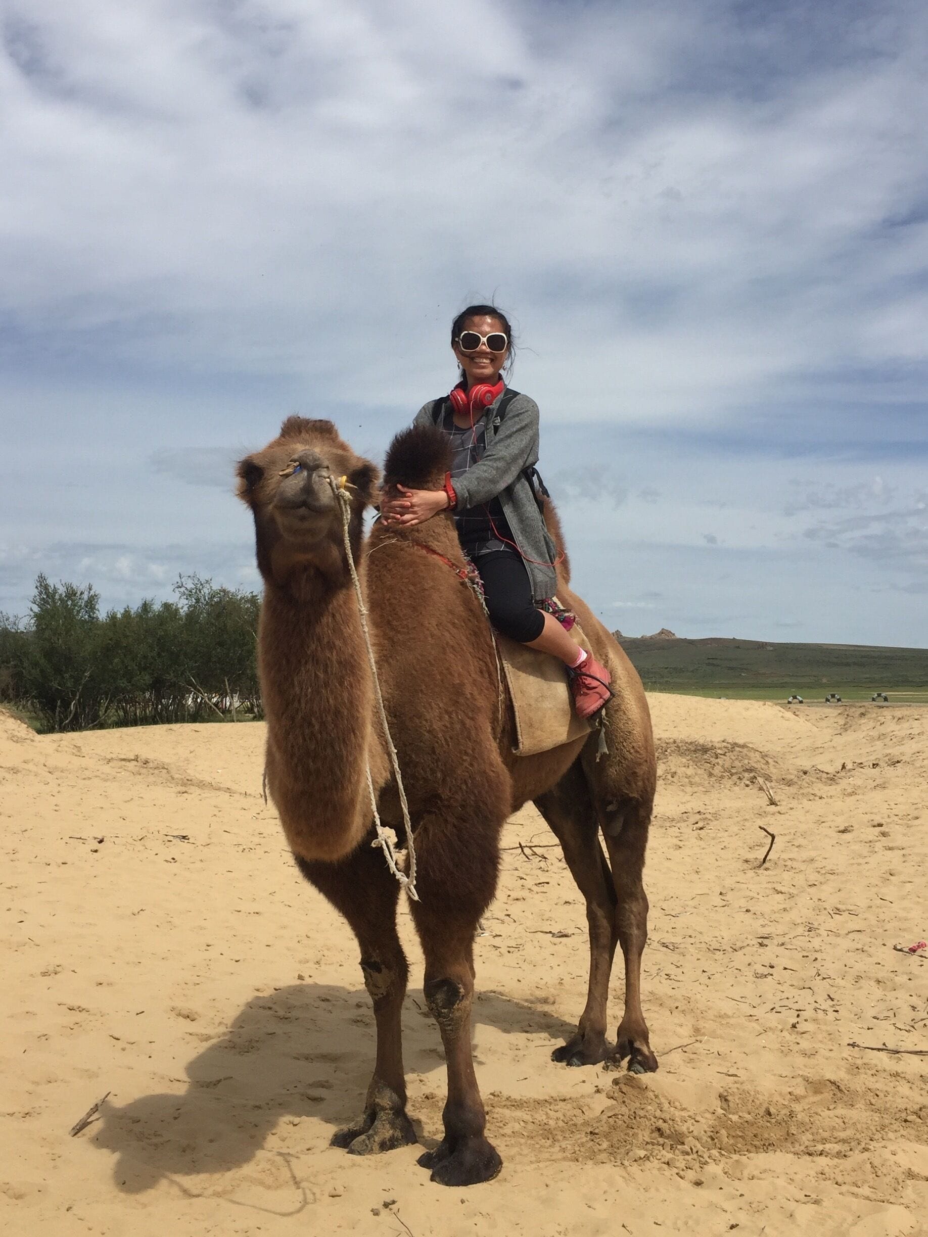Amy, The Camel Rider: Here's the pretty me, riding a camel in the Gobi Desert where I am enjoying myself being the Nomad Amy! 
I might go back to England with this camel named "The Pretty Her"! Hahaha! 😂
#amysworldtittletattle 
#amytheexplorer 
#mytravelnavigationforthehistoricalandculturalinvestigation 
#wheninmongolia🇲🇳
#ridingcameldreamcomestrue
