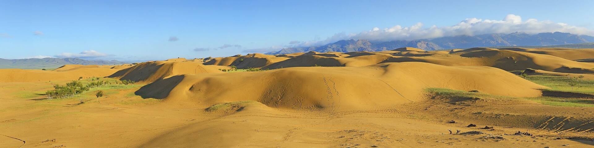 Elsen Tasarkhai, Rashaant, Bulgan Province - Elsen Tasarkhai sand dunes, also known as Bayan Gobi sand dunes or mini Gobi is a magnificent place features a small Gobi Desert in the center of Mongolia