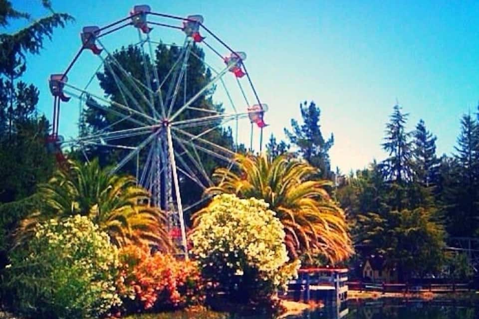 A Ferris wheel, a pond, and tropical plants.