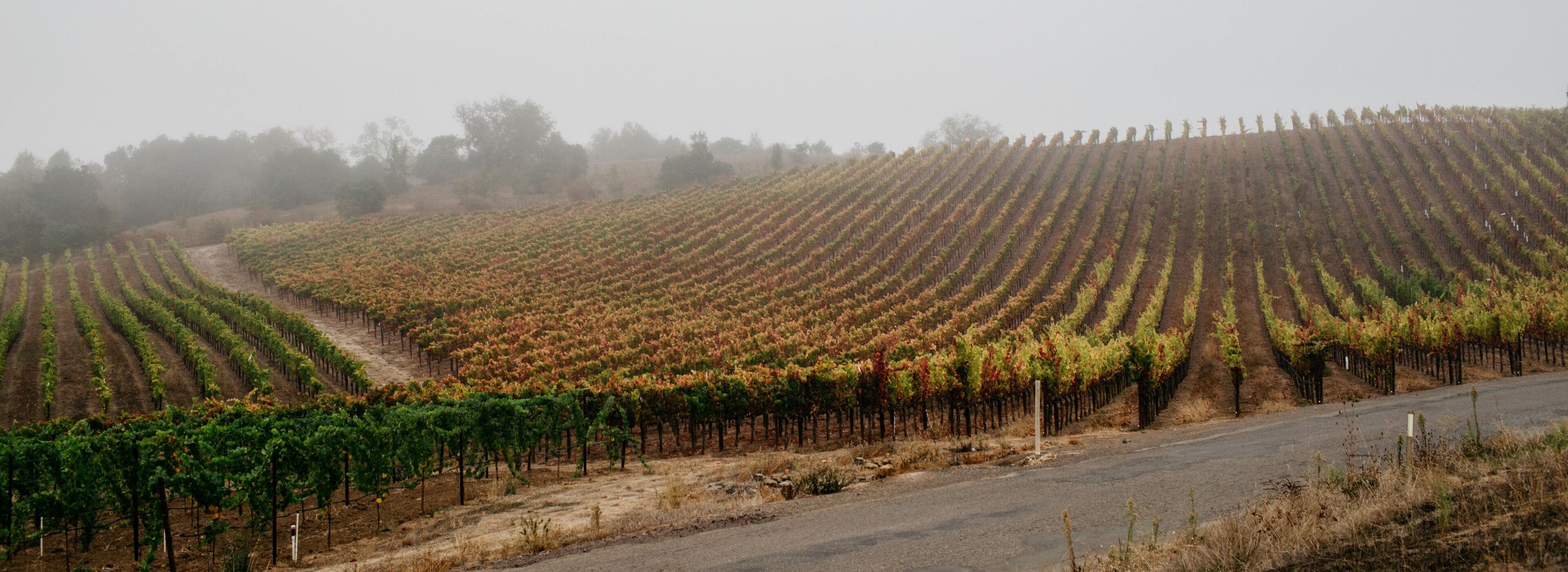 
适合情侣的最佳住宿
