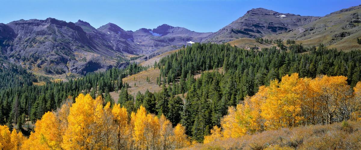 A mountainous landscape with dense forests and autumn-colored trees.