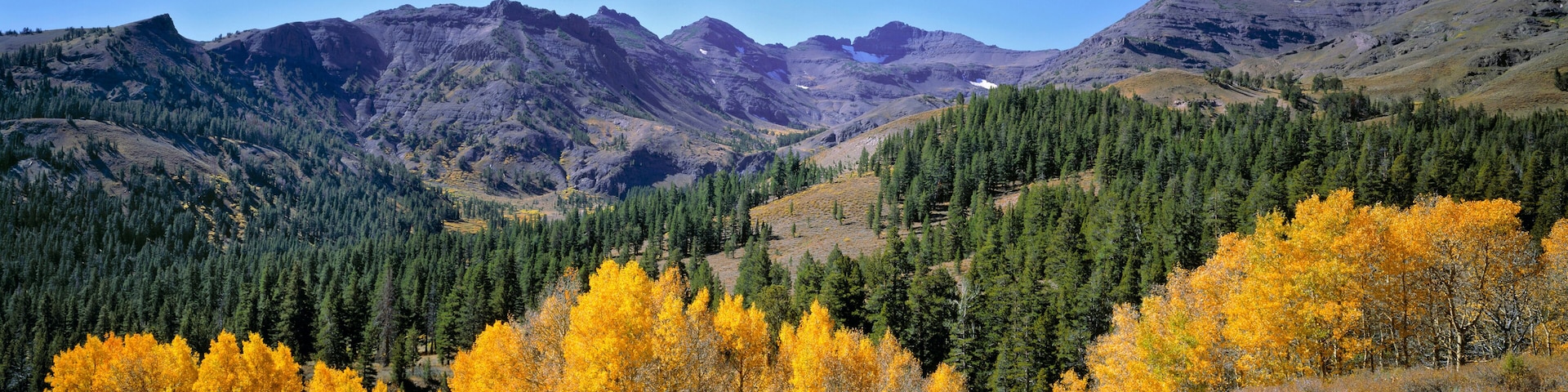 A mountainous landscape with dense forests and autumn-colored trees.