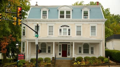 Doylestown showing heritage architecture and a house