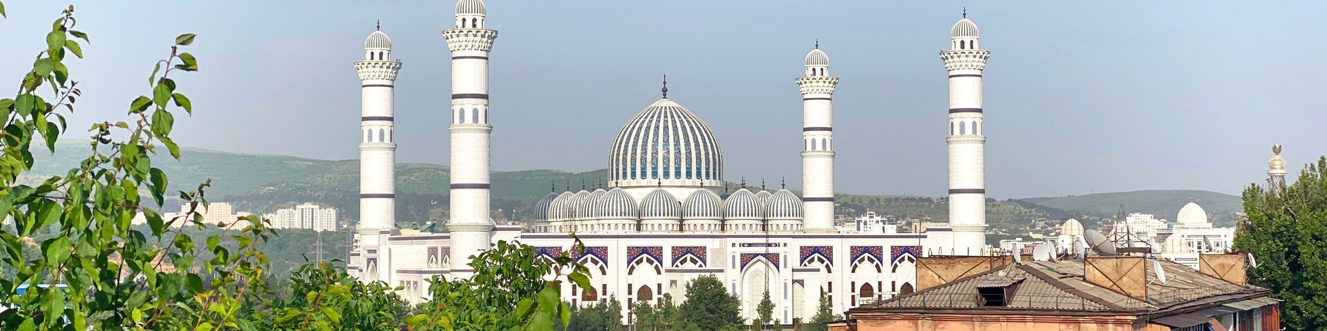 Una mezquita con varios minaretes y una cúpula central grande, rodeada de vegetación y edificios urbanos.