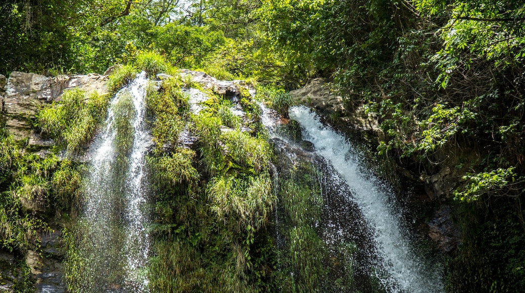 アルニケイラス