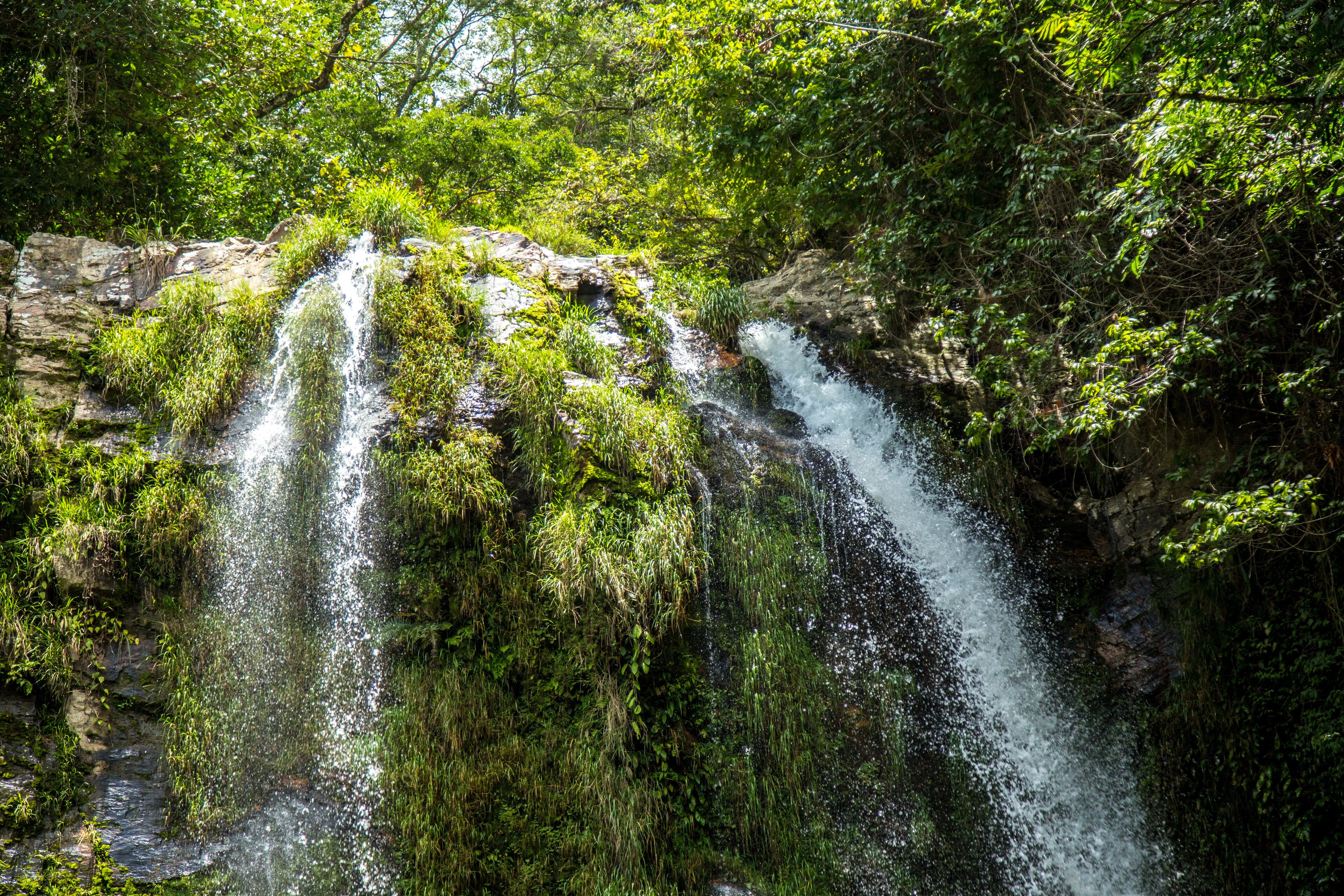 A waterfall cascading over moss-covered rocks surrounded by dense greenery.