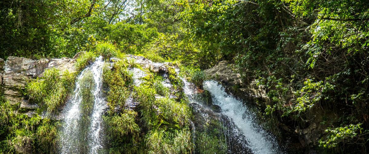 A waterfall cascading over moss-covered rocks surrounded by dense greenery.