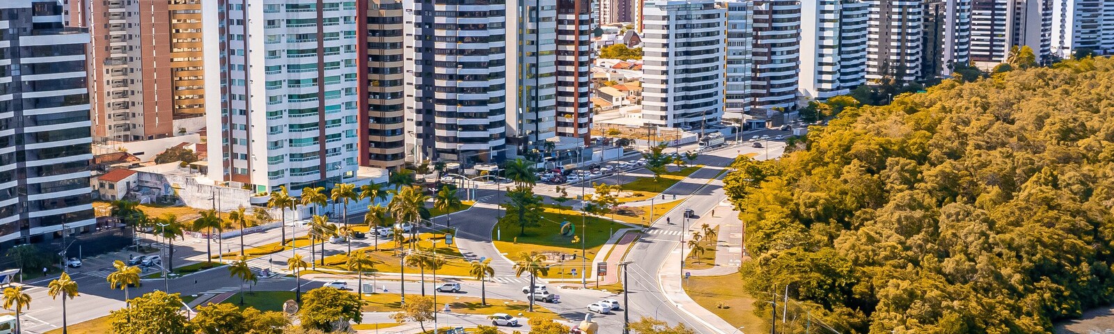 Un paisaje urbano con modernos rascacielos, un puente sobre un río y un parque con árboles.