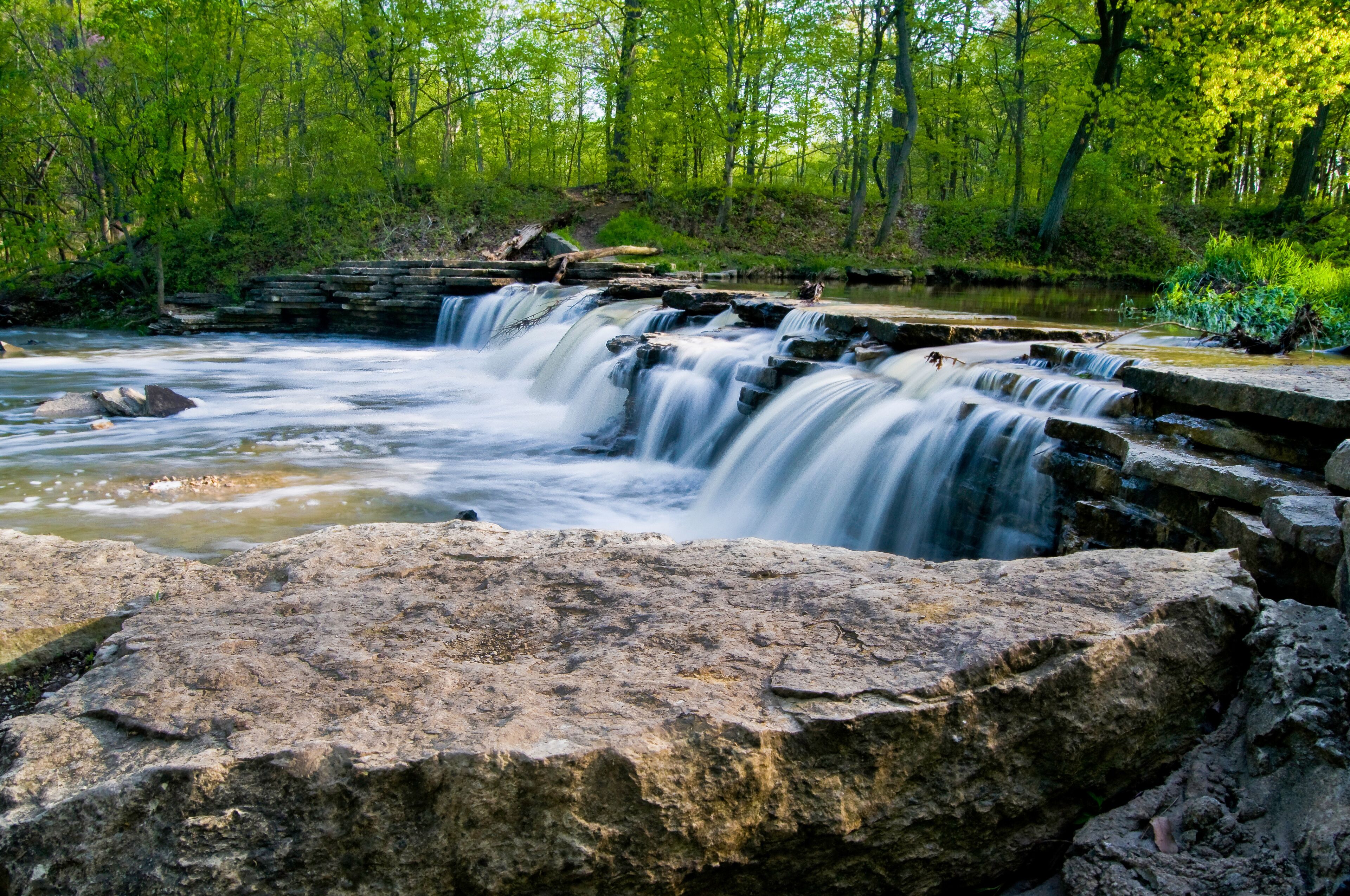 A stream swollen with spring rains spills over a picturesque waterfall in a spring green woodland landscape.