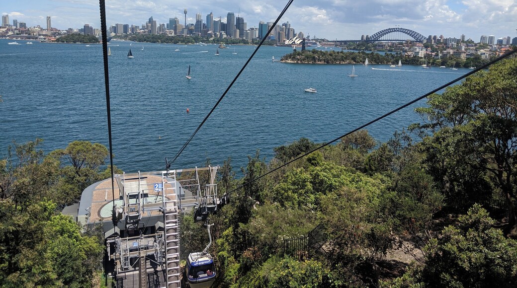 The view looking back over Sydney Harbour from the Taronga Zoo "Sky Safari".