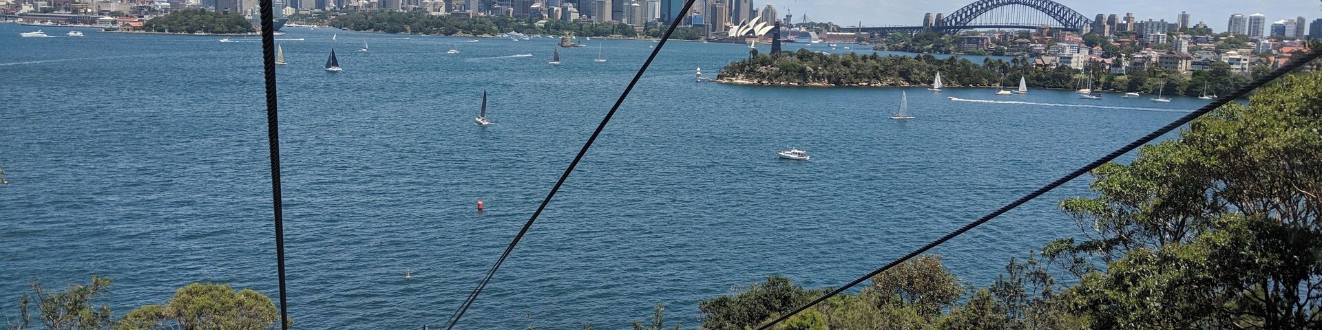 A cable car system, a city skyline, and the Sydney Opera House across the water.