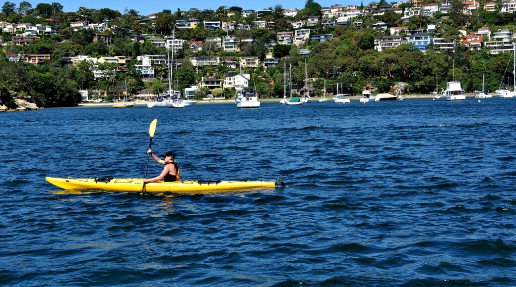 Discover Sydney from the water with Sydney Kayaks, The Spit.