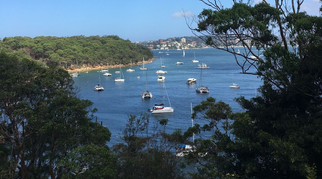 Amazing view from Taronga Zoo #lifeatexpedia