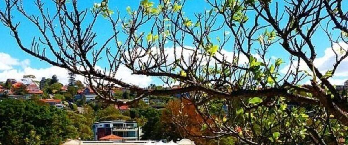 The Bathers' Pavilion in the distance. Originally opened in 1929 as a large changing shed and is now the setting of one of Sydney's best restaurants and cafés - @batherspavilion Balmoral Beach.
#restaurant