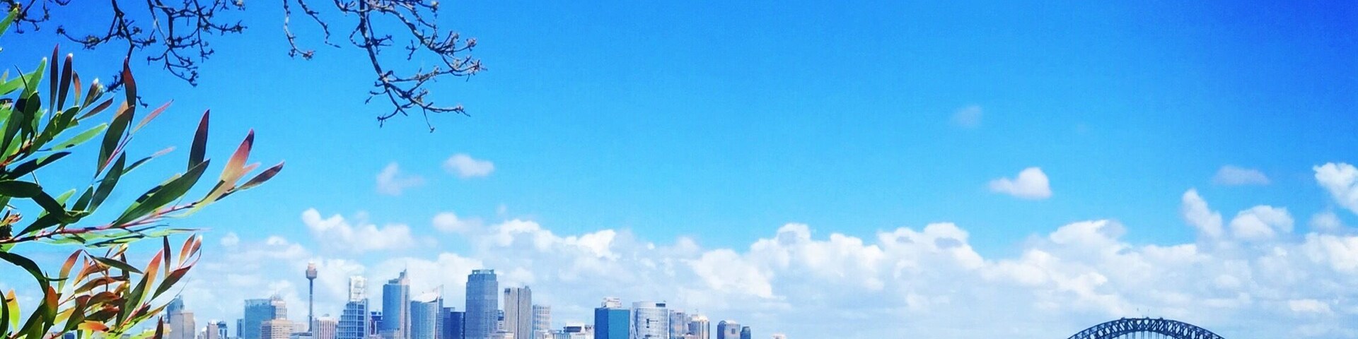 ...the view of Sydney from Taronga Zoo.