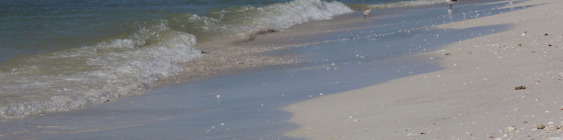 Sunny Afternoon at Bradenton Beach in Bradenton Florida
