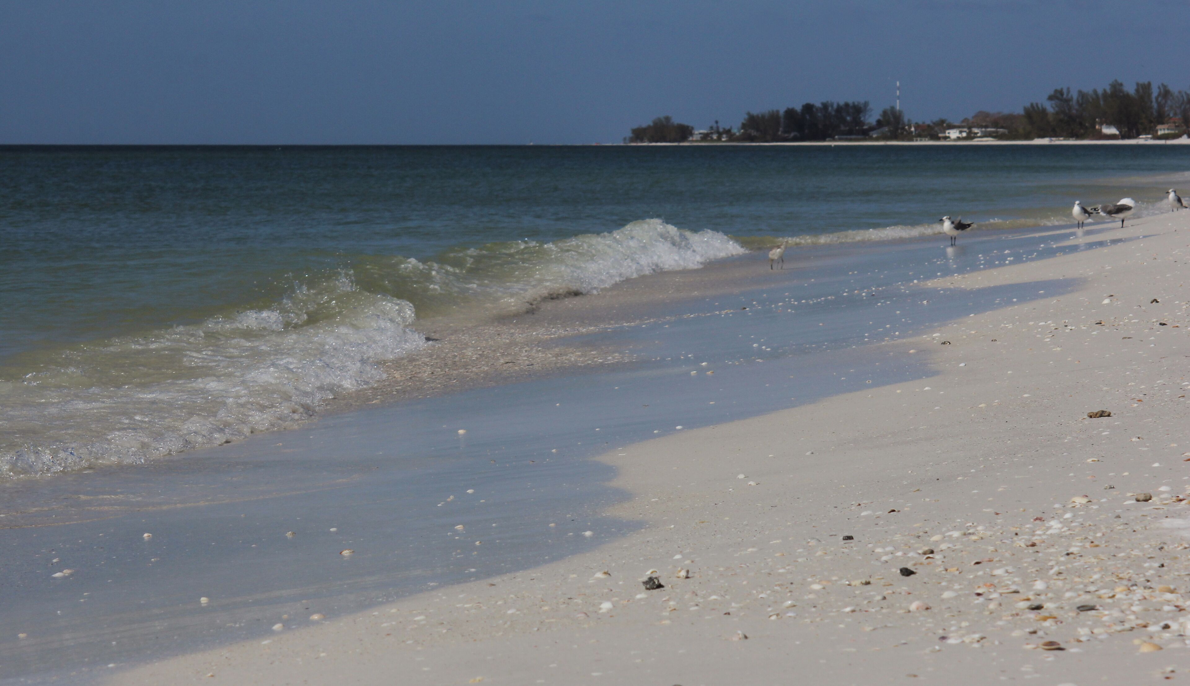 A sandy beach with gentle waves, a clear sky, and a distant shoreline with trees and buildings.