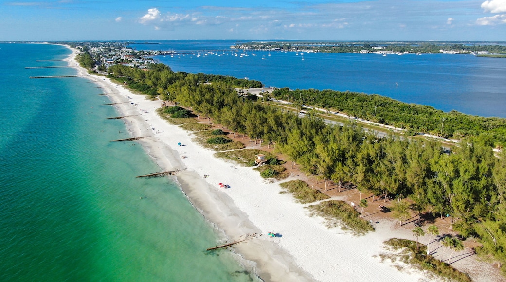 A coastal beach with clear turquoise waters, a sandy shore, and a dense forested area.