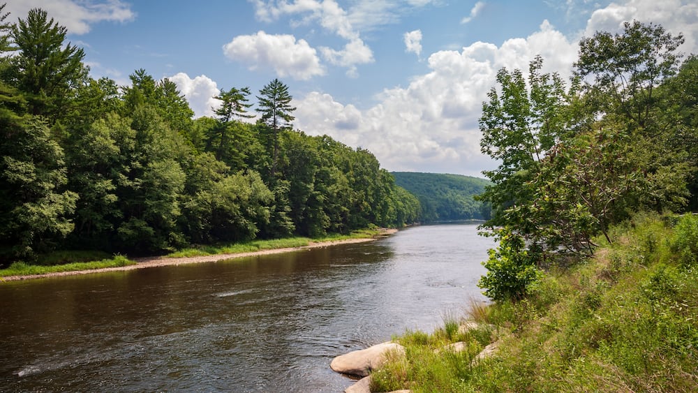 River at Cook Forest State Park and Clarion River Lands in scenic northwestern Pennsylvania