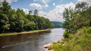 River at Cook Forest State Park and Clarion River Lands in scenic northwestern Pennsylvania
