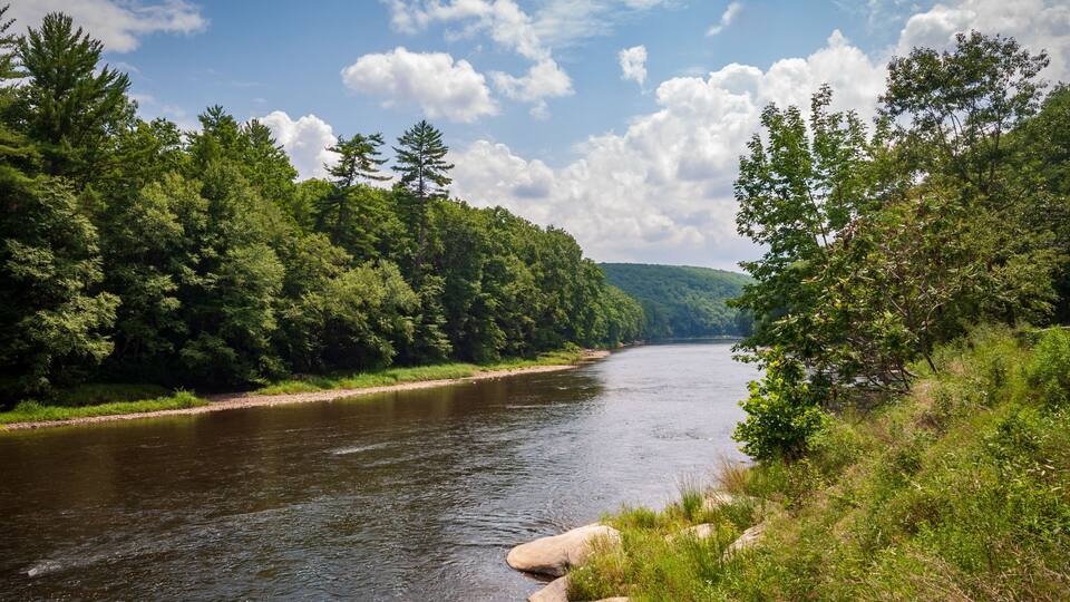 River at Cook Forest State Park and Clarion River Lands in scenic northwestern Pennsylvania