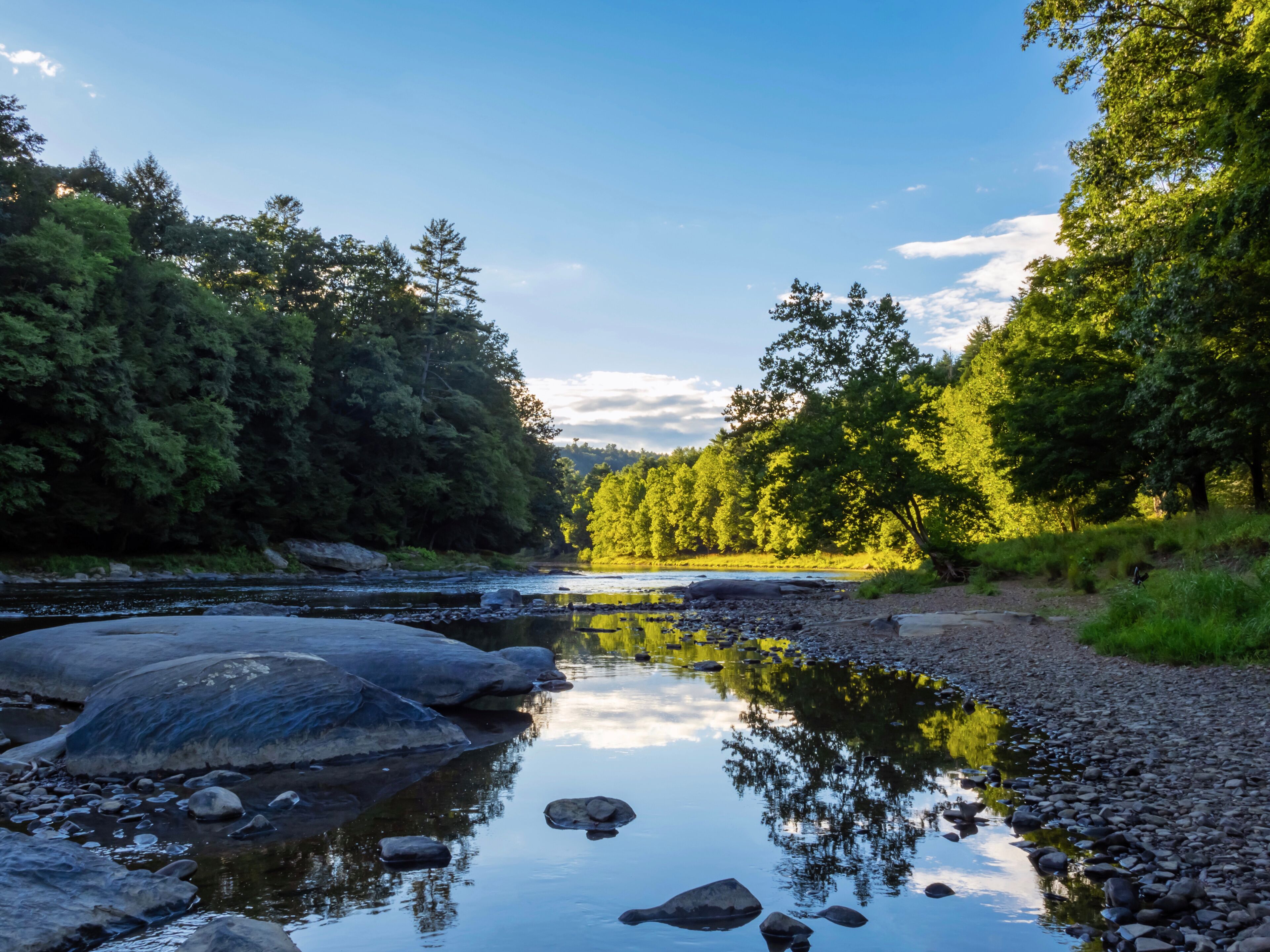 A river with rocks, surrounded by dense green trees and a clear sky.