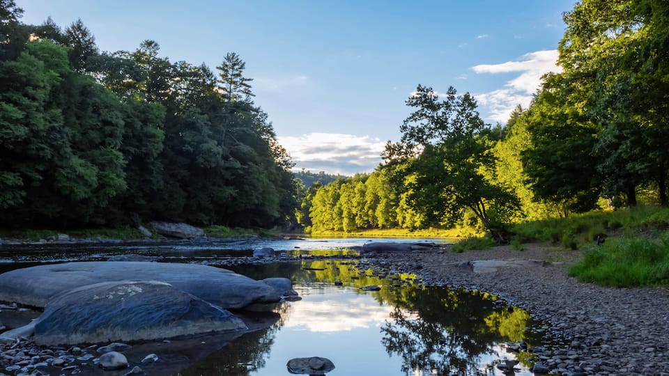 A river with rocks, surrounded by dense green trees and a clear sky.