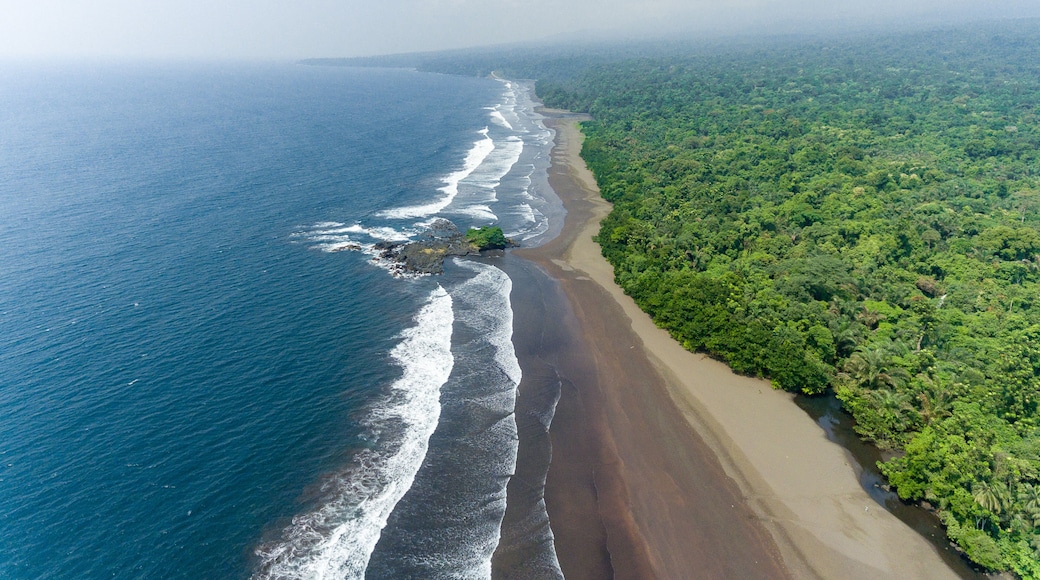 A coastal landscape with a sandy beach, ocean waves, and dense green vegetation.
