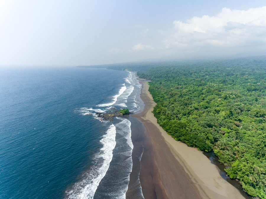 Un paisaje costero con playa arenosa, olas del océano y densa vegetación verde.