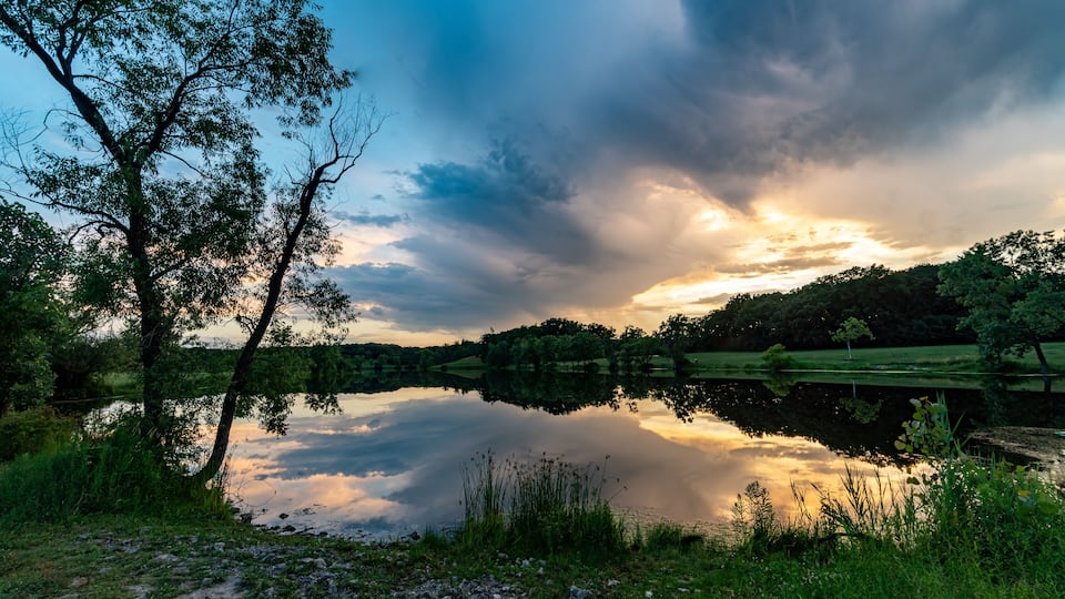 A serene lake with reflections of trees and a cloudy sky.