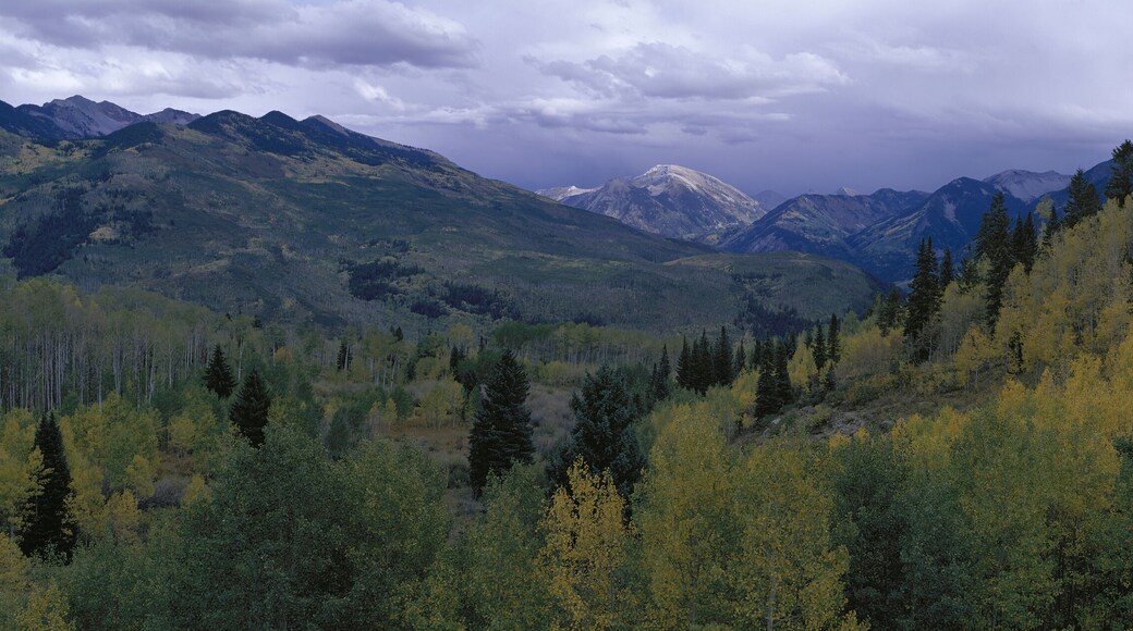 Panoramic of autumn color with storm coming from McClure Pass south of Carbondale Colorado off Route 133