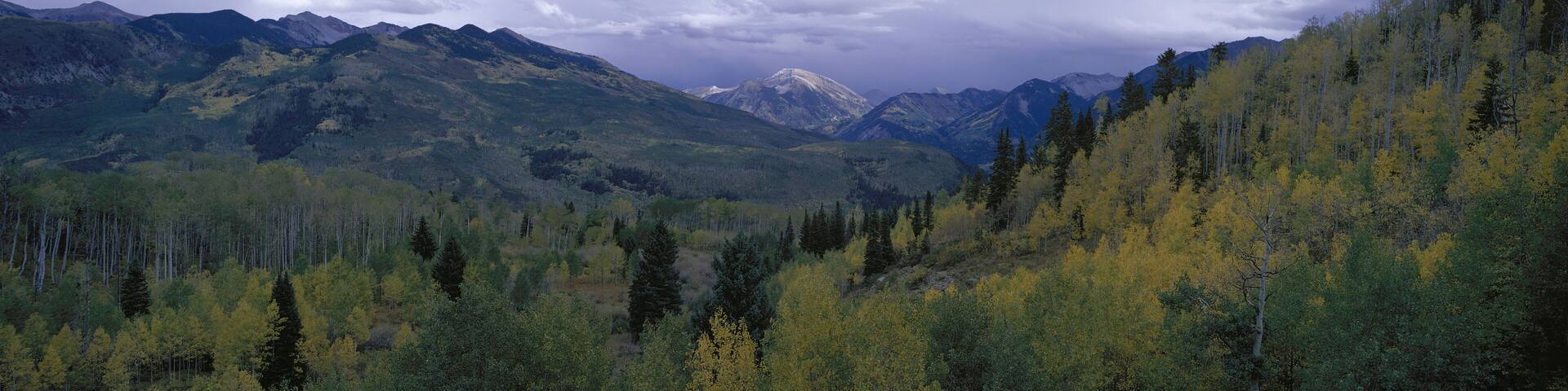 Panoramic of autumn color with storm coming from McClure Pass south of Carbondale Colorado off Route 133