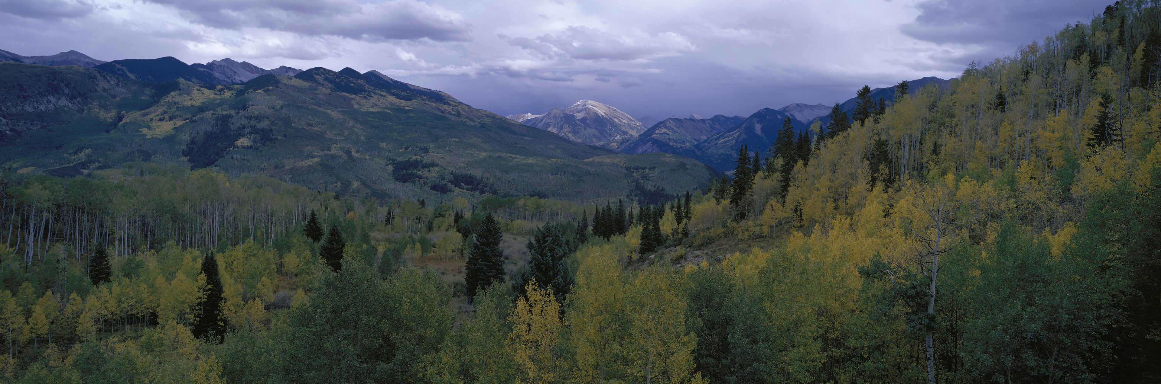A mountainous landscape with dense forests and a snow-capped peak in the distance.