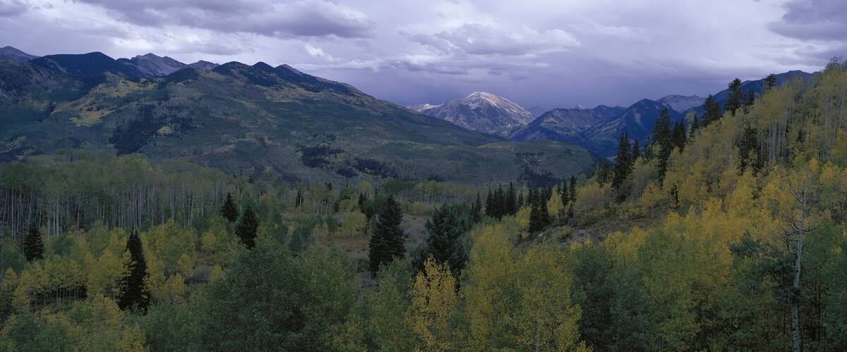 A mountainous landscape with dense forests and a snow-capped peak in the distance.