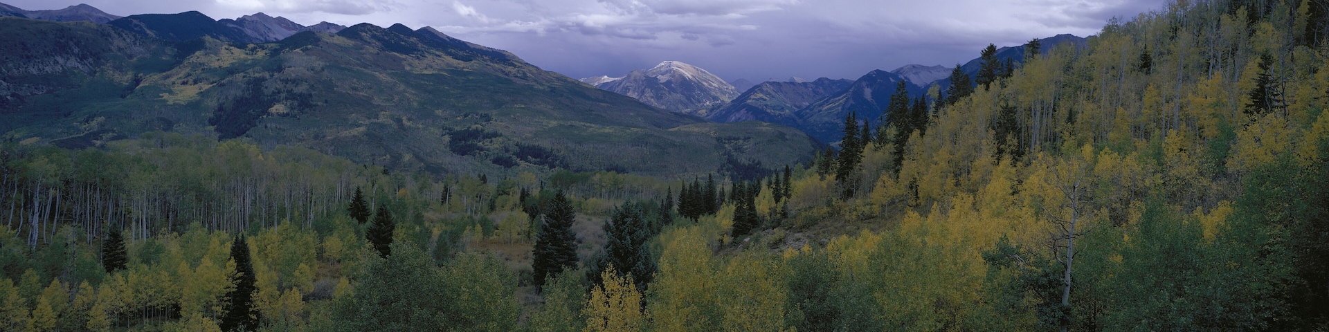 A mountainous landscape with dense forests and a snow-capped peak in the distance.
