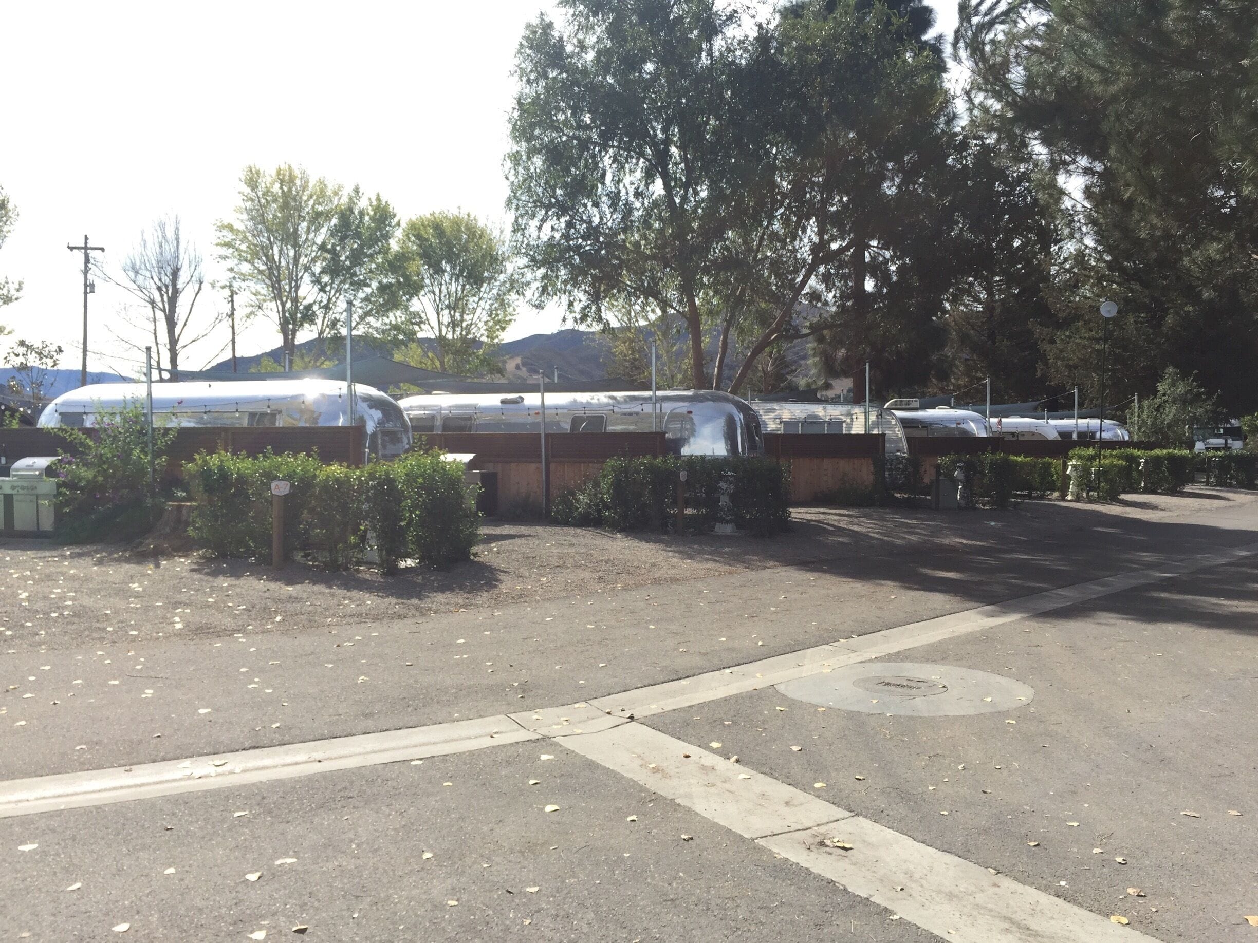 Some of the vintage trailers you can stay at at Flying Flags RV Resort. 