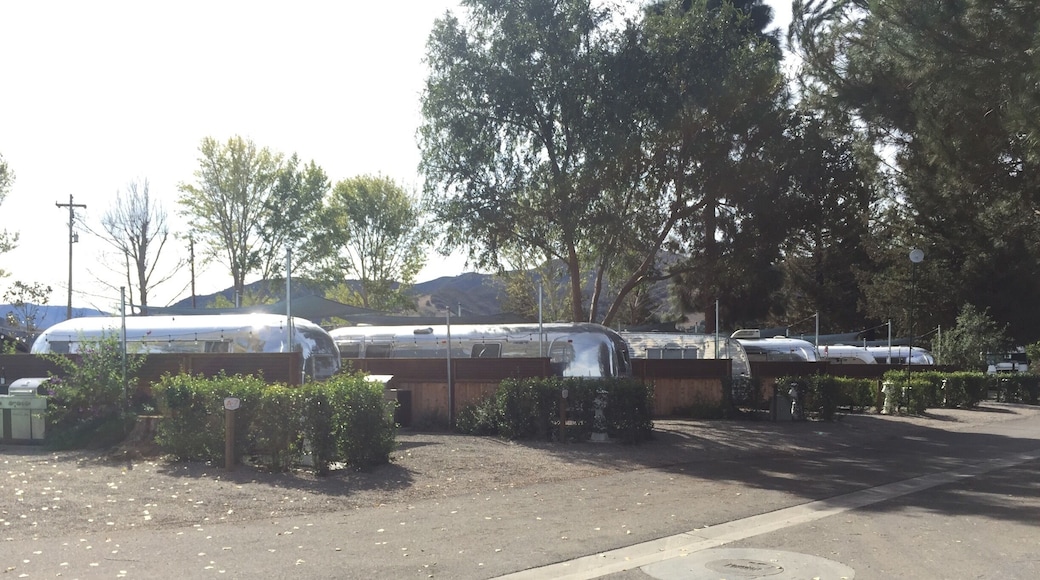 Some of the vintage trailers you can stay at at Flying Flags RV Resort.