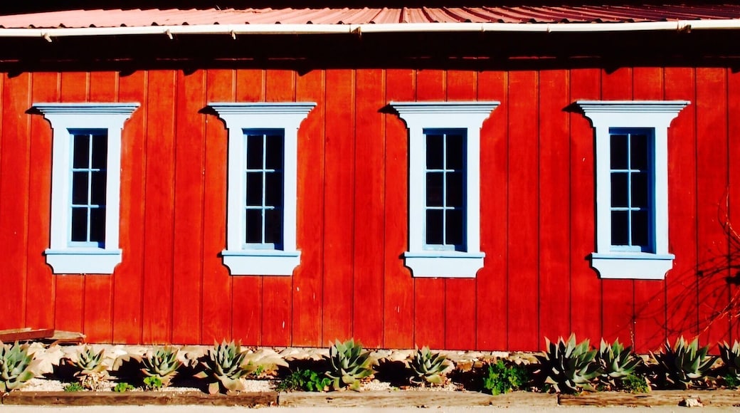 This is a perfect stop on a #roadtrip up Highway 101 in California. It's right off the highway, they have very good Italian style wines, and the restroom treats you to a cool laser show when you turn on the light!