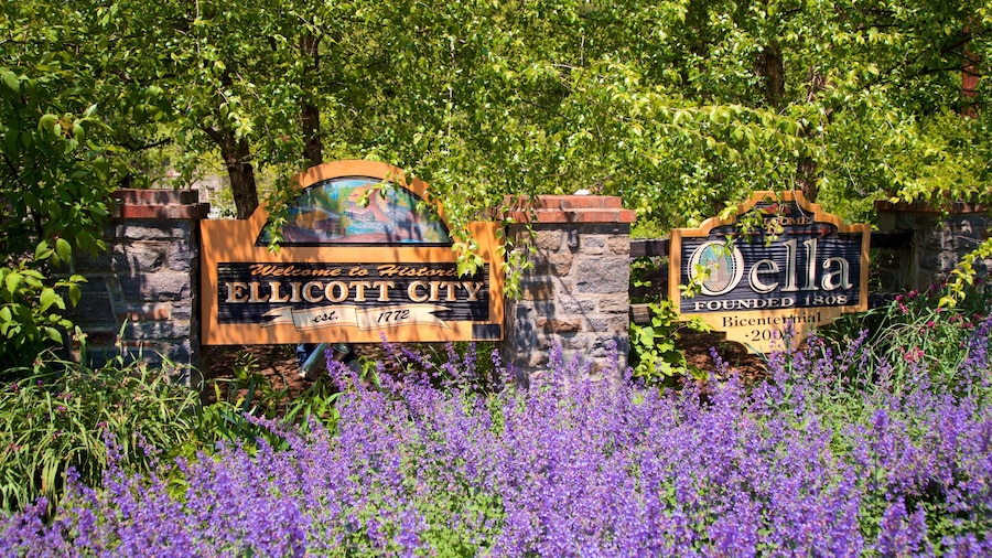 Ellicott City