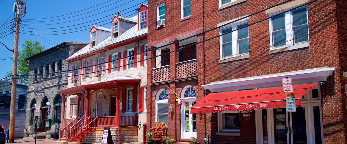 A street with brick buildings, a red awning, and a sign for Oriental Rugs.