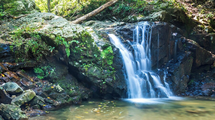 Nice little waterfall