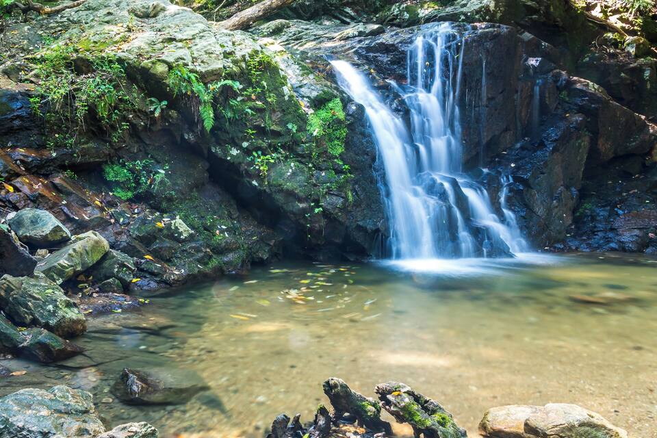 Een waterval stort over rotsen in een helder stroompje, omgeven door weelderige vegetatie.