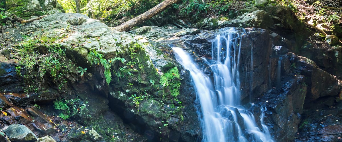 Nice little waterfall